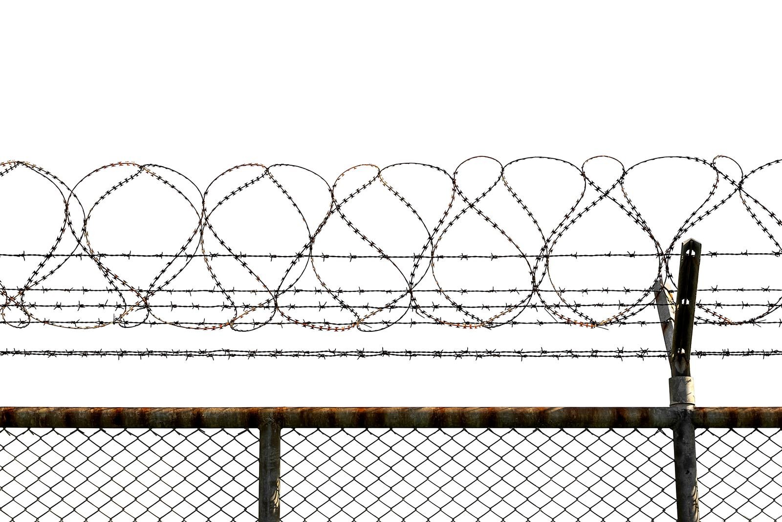 Barbed wire fencing