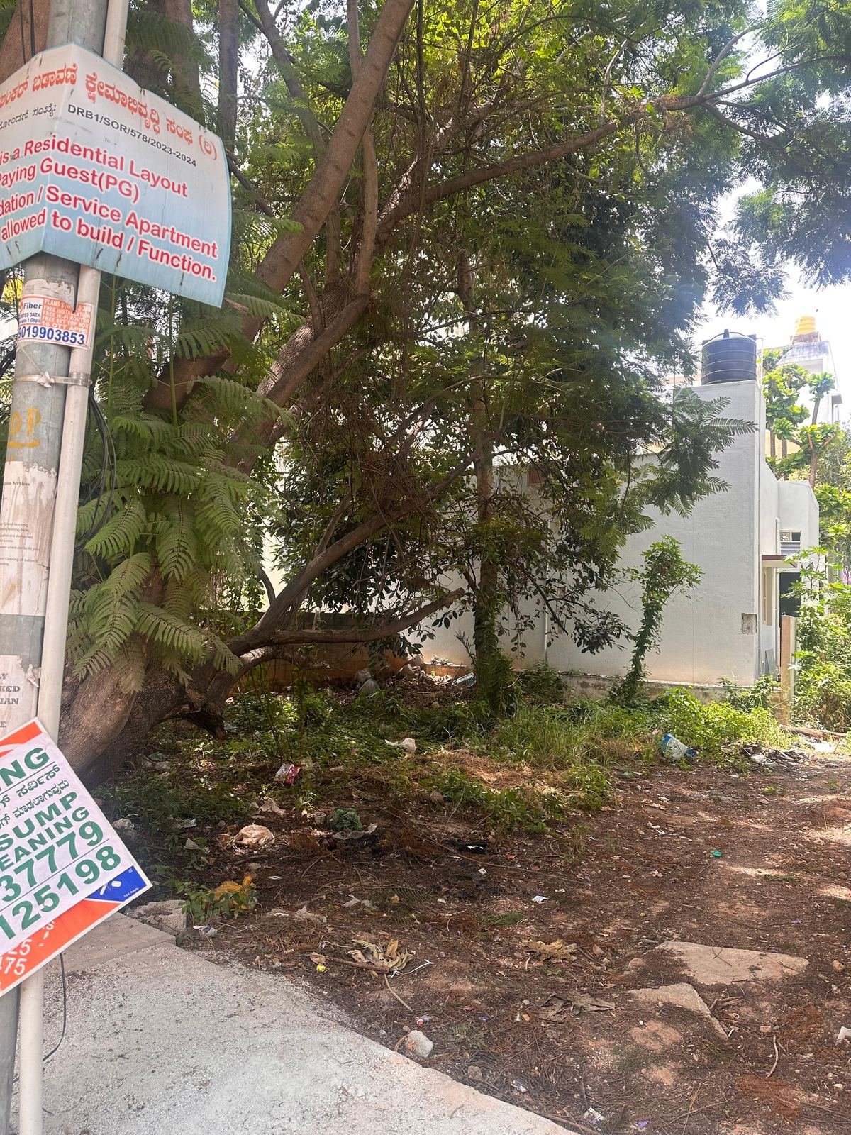 An overgrown, unmonitored vacant plot in Bangalore